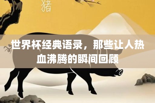 世界杯经典语录，那些让人热血沸腾的瞬间回顾广西贺州市华昌新材料有限公司