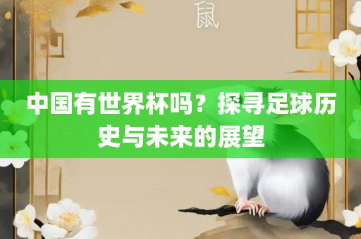 中国有世界杯吗？探寻足广西贺州市华昌新材料有限公司球历史与未来的展望