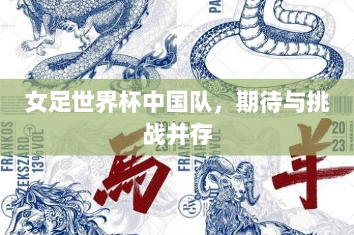 女足世界杯中国队，期待与挑战并存广西贺州市华昌新材料有限公司
