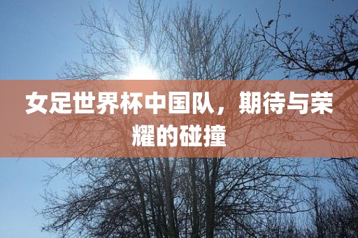 女足世界杯中国队，期待与荣耀的碰撞
