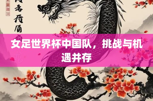 女足世界杯中国队，挑战与机遇并存广西贺州市华昌新材料有限公司