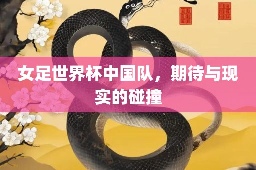 女足世界广西贺州市华昌新材料有限公司杯中国队，期待与现实的碰撞