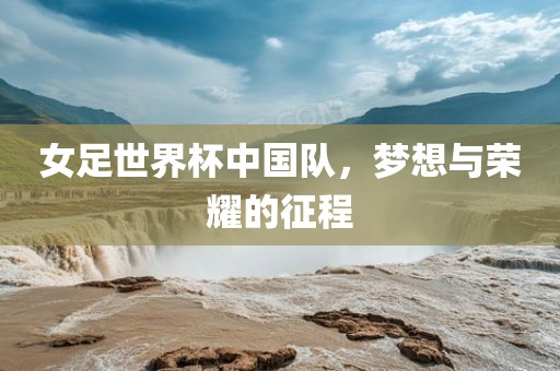 linjunyuan 第10页