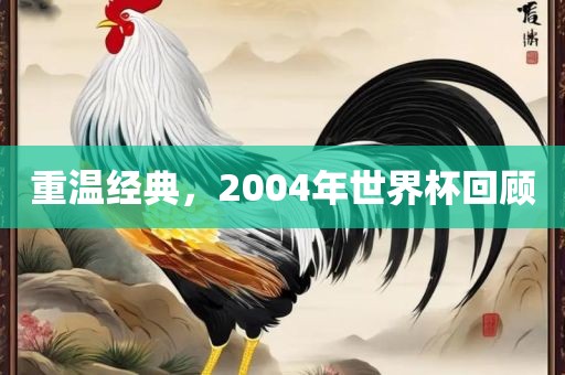 重温广西贺州市华昌新材料有限公司经典，2004年世界杯回顾