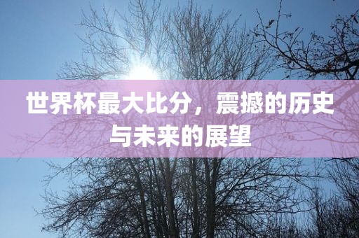 世界杯最大比分，震撼的历史与未来的展望广西贺州市华昌新材料有限公司