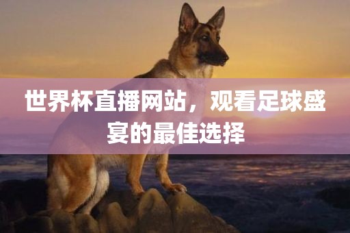 世界杯直播网站，观看足球盛宴的最佳选择