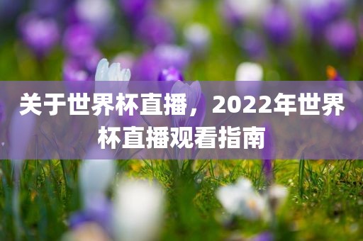 关于世界杯直播，2022年世界杯直播观看指南广西贺州市华昌新材料有限公司