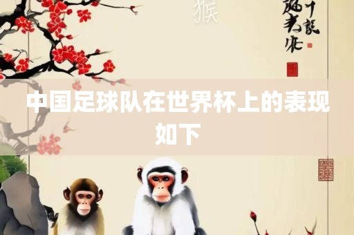 中国广西贺州市华昌新材料有限公司足球队在世界杯上的表现如下