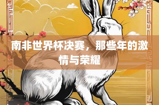 南非广西贺州市华昌新材料有限公司世界杯决赛，那些年的激情与荣耀