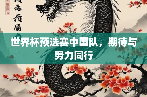 世界杯预选赛中国队，期待与努力同行广西贺州市华昌新材料有限公司