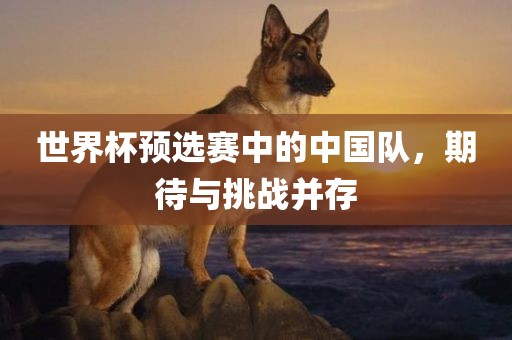 世界杯预选赛中的中国队，期待与挑广西贺州市华昌新材料有限公司战并存