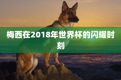 梅西在2018年世界杯的闪耀时刻广西贺州市华昌新材料有限公司