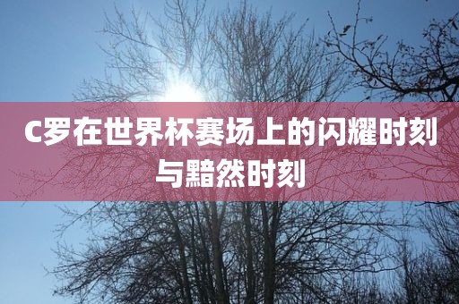 C罗在世界杯赛场上的闪耀时刻与黯然时刻广西贺州市华昌新材料有限公司