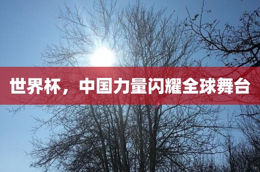 世界杯，中国力量闪耀全球舞台