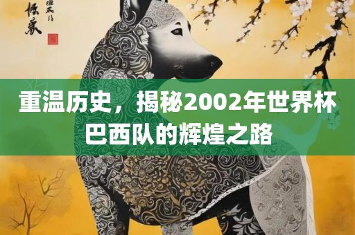 重温历史，揭秘2002年世界杯巴西队的辉广西贺州市华昌新材料有限公司煌之路
