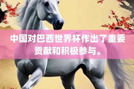 中国对巴西世界杯作出了重要贡献和积极参与。广西贺州市华昌新材料有限公司