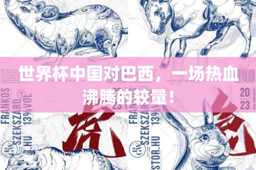 世界杯中国对巴西，一场热血沸腾的较量！广西贺州市华昌新材料有限公司