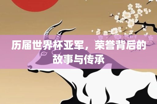 历届世界杯亚军，荣誉背后的故事与传承广西贺州市华昌新材料有限公司