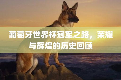 葡萄牙世界杯冠军之路，荣耀与辉煌的历史回顾