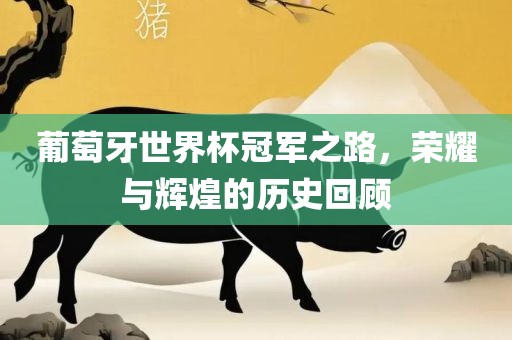 葡萄牙世界杯冠军之路，荣耀与辉煌的历史回顾