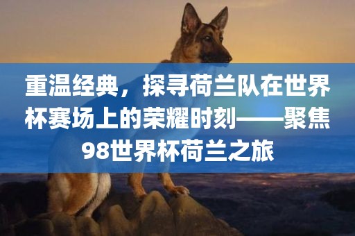 重温经典，探寻荷兰队在世界杯赛场上的荣耀时刻——聚焦98世界杯荷兰之旅广西贺州市华昌新材料有限公司