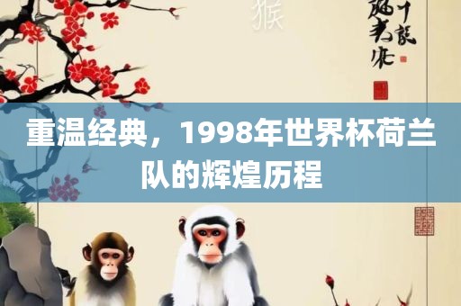 重温经典，1998年世界杯荷兰队的辉煌历程