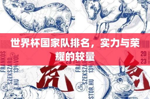 世界杯国家队排名，实力与荣耀的较量