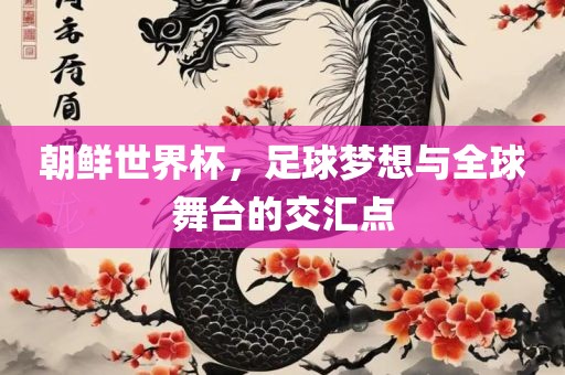 朝鲜世界杯，足球梦想与全球舞台的交汇点