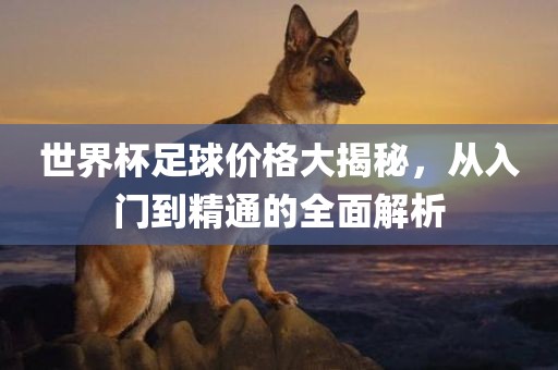 世界杯足球价格大揭秘，从入门到精通的全面解析
