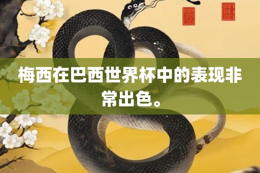 梅西在巴西世界杯中的表现非常出色。广西贺州市华昌新材料有限公司