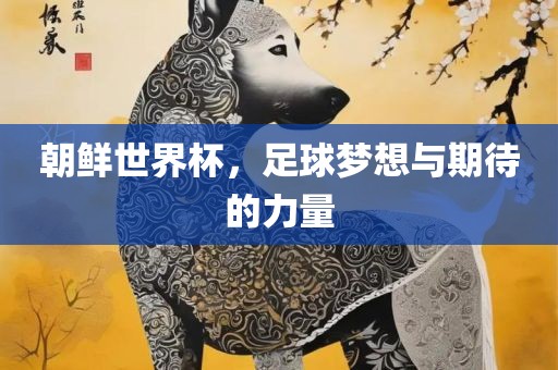 朝鲜世界杯，足球梦想与期待的力量