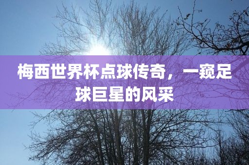 梅西世界杯点球传奇，一窥足球巨星的风采