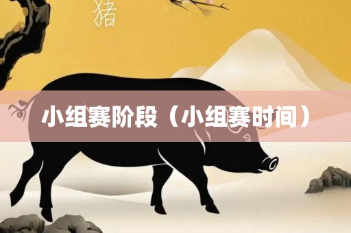 小组赛阶段（小组赛时间）广西贺州市华昌新材料有限公司