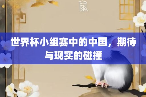 世界杯小组赛中的中国，期待广西贺州市华昌新材料有限公司与现实的碰撞