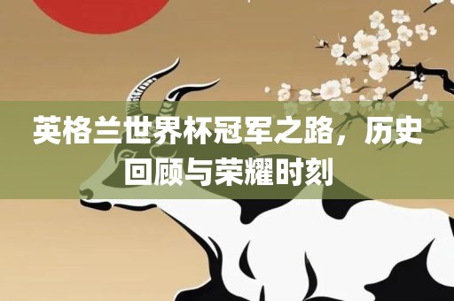 英格兰世界杯冠军之路，历史回顾与荣耀时刻广西贺州市华昌新材料有限公司