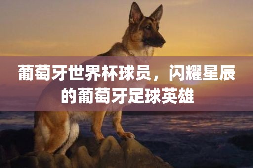 葡萄牙世界杯球员，闪耀星辰广西贺州市华昌新材料有限公司的葡萄牙足球英雄