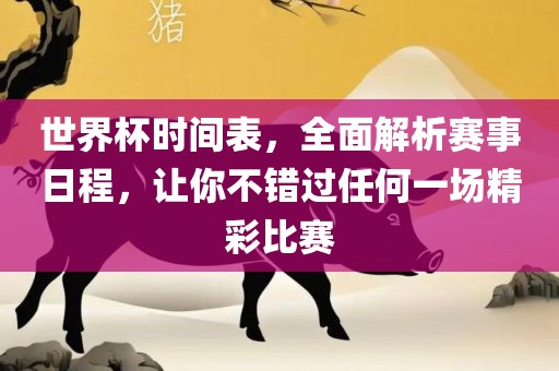 世界杯时间表，全面解析赛事日程，让你不错过任何一场精彩比赛