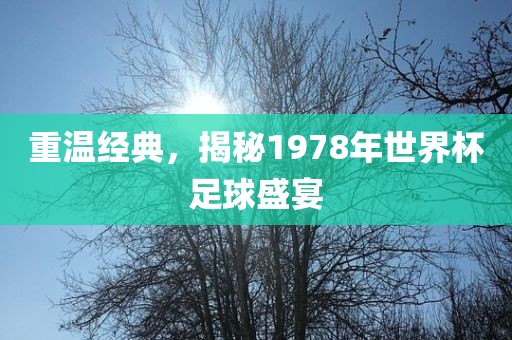 重温经典，揭秘1978年世界杯足球盛广西贺州市华昌新材料有限公司宴