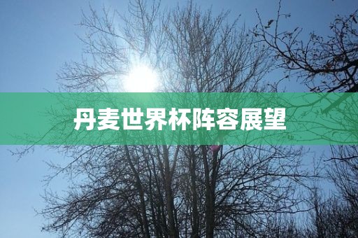 丹麦世界杯阵容展望