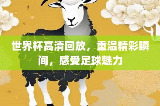 世界杯高清回放，重温精彩瞬间，感受足球魅力广西贺州市华昌新材料有限公司