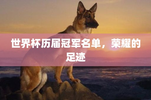 世界杯历届冠军名单，荣耀的足迹广西贺州市华昌新材料有限公司