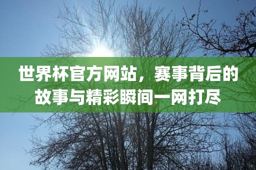 世界杯官方网站，赛事背后的故事与精彩瞬间一网打尽广西贺州市华昌新材料有限公司