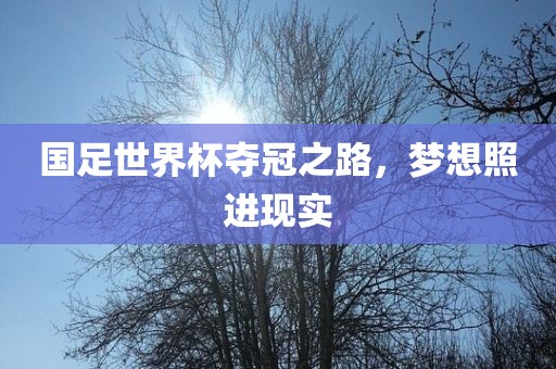 国足世界杯夺冠之路，梦想照进现实