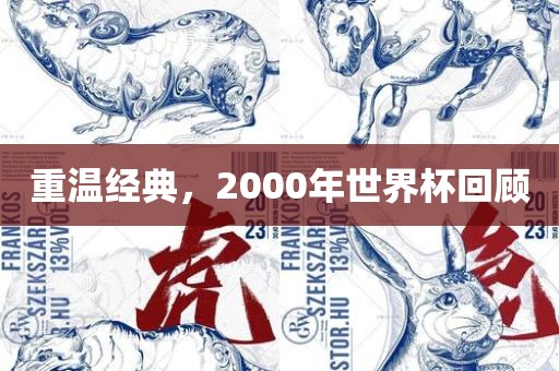 重温经典，2000年世界杯回顾