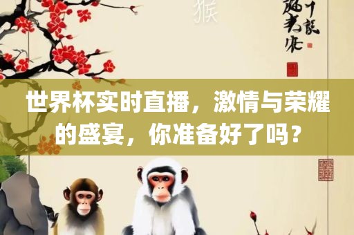 世界杯实时直播，激情与荣耀的盛宴，你准备好了吗？