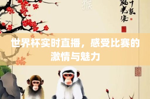 世界杯实时直播，感受比赛的激情与魅力