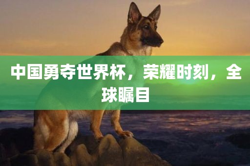 中国勇夺世界杯，荣耀时刻，全球瞩目广西贺州市华昌新材料有限公司