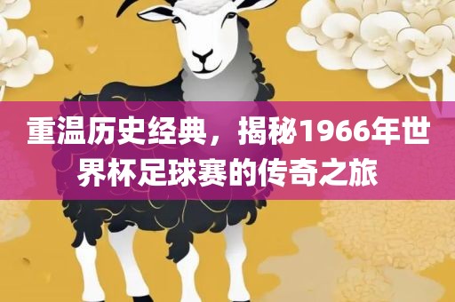 重温历史经典，揭秘1966年世界杯足球赛的传奇之旅