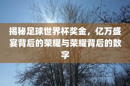 揭秘足球世界杯奖金，亿万盛宴背后的荣耀与荣耀背后的数字