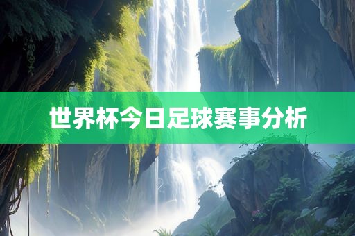 世界杯今日足球赛事分析